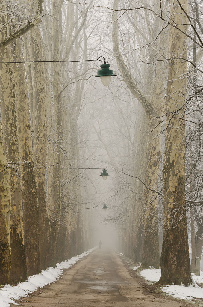 Am Weg nach Ilidža