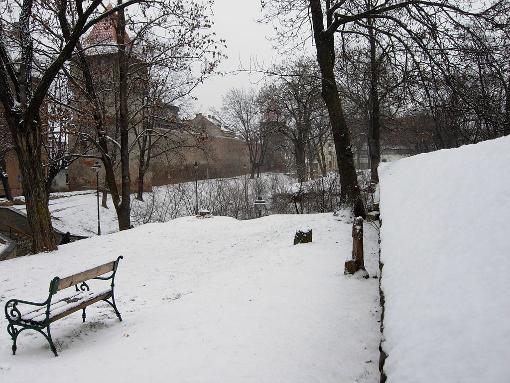 Parcul Tineretului