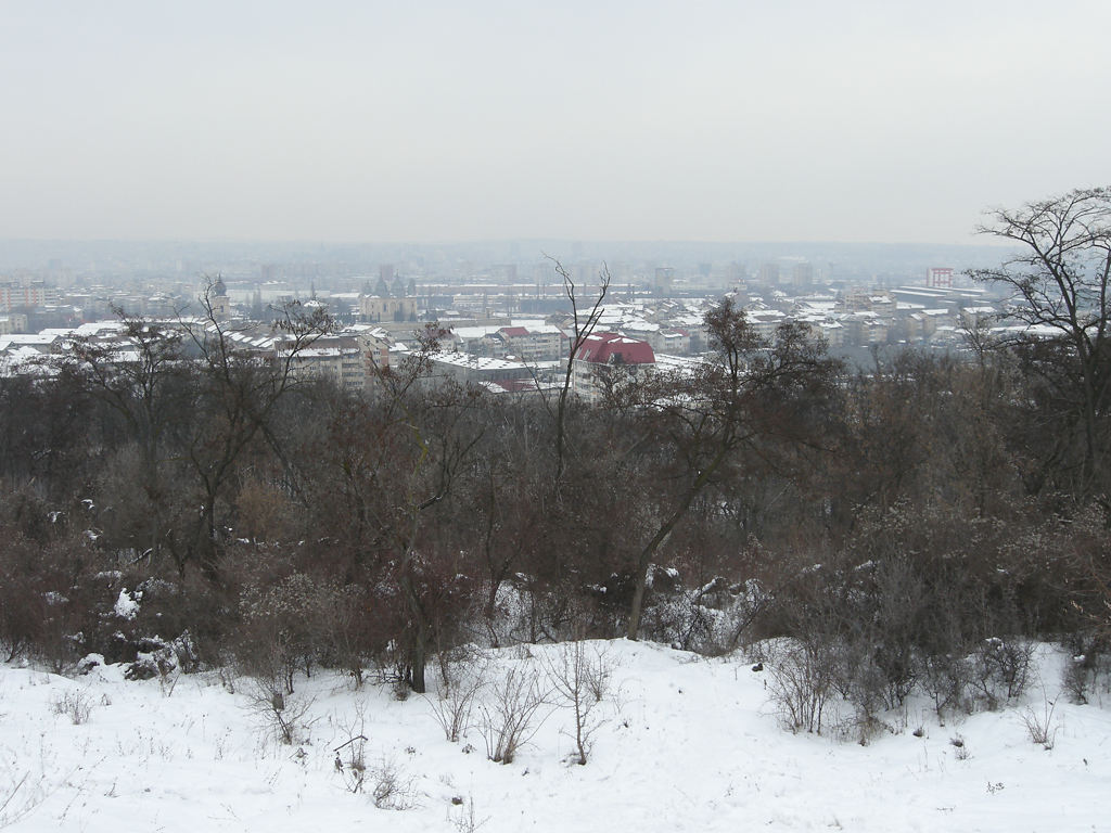 Blick auf Mănăstirea Frumoasa